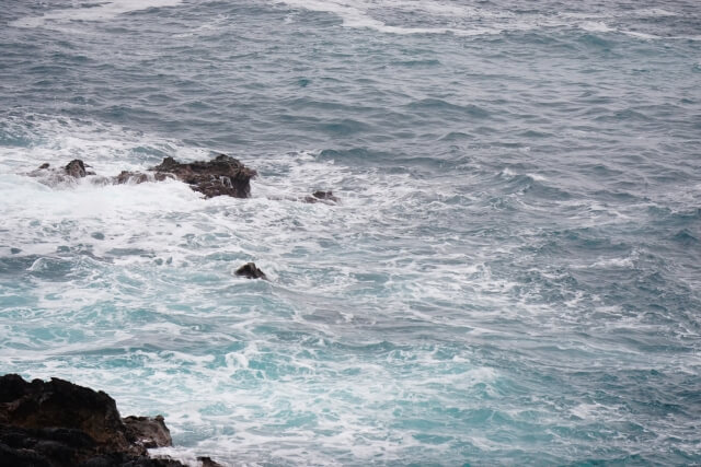 海岸